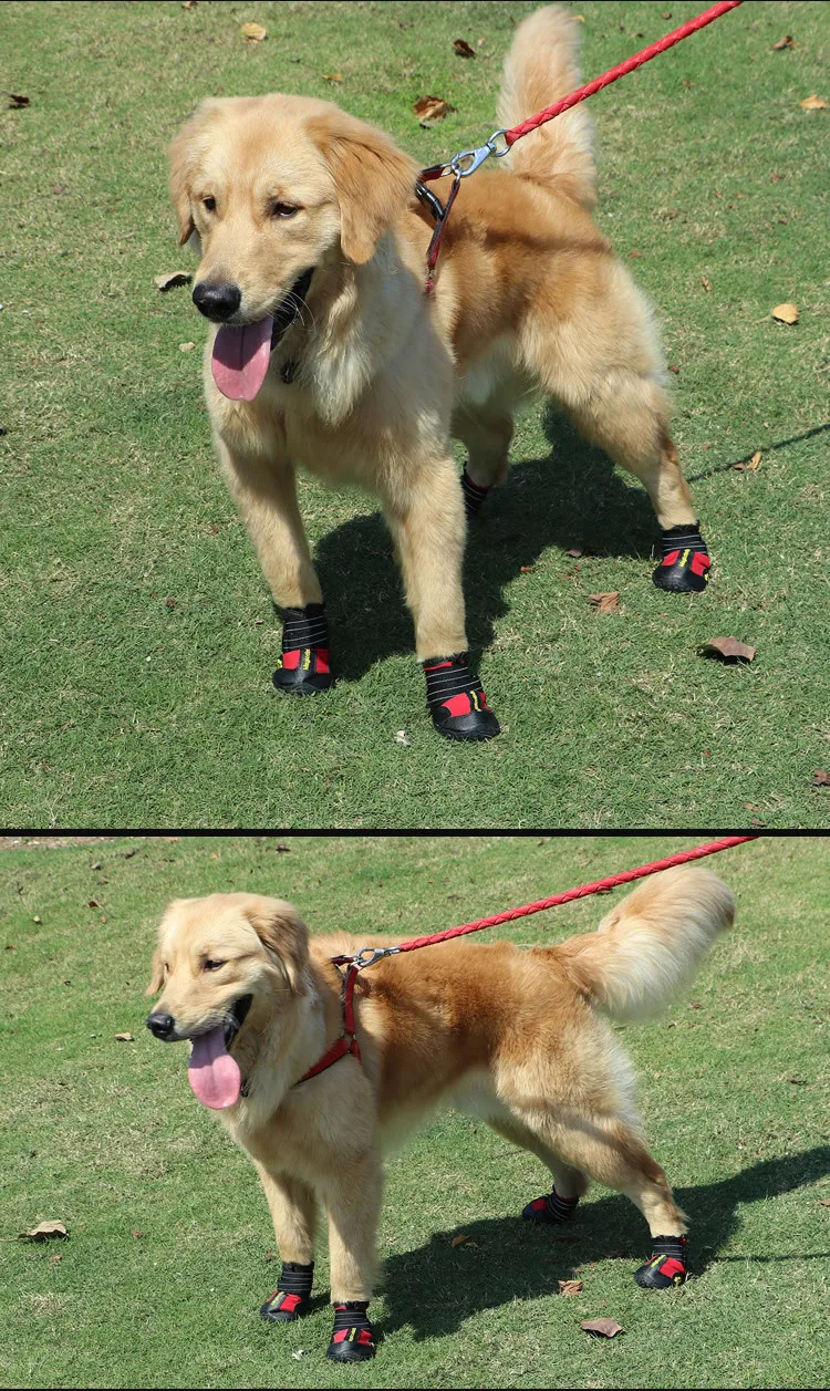 5646746157_1984595496