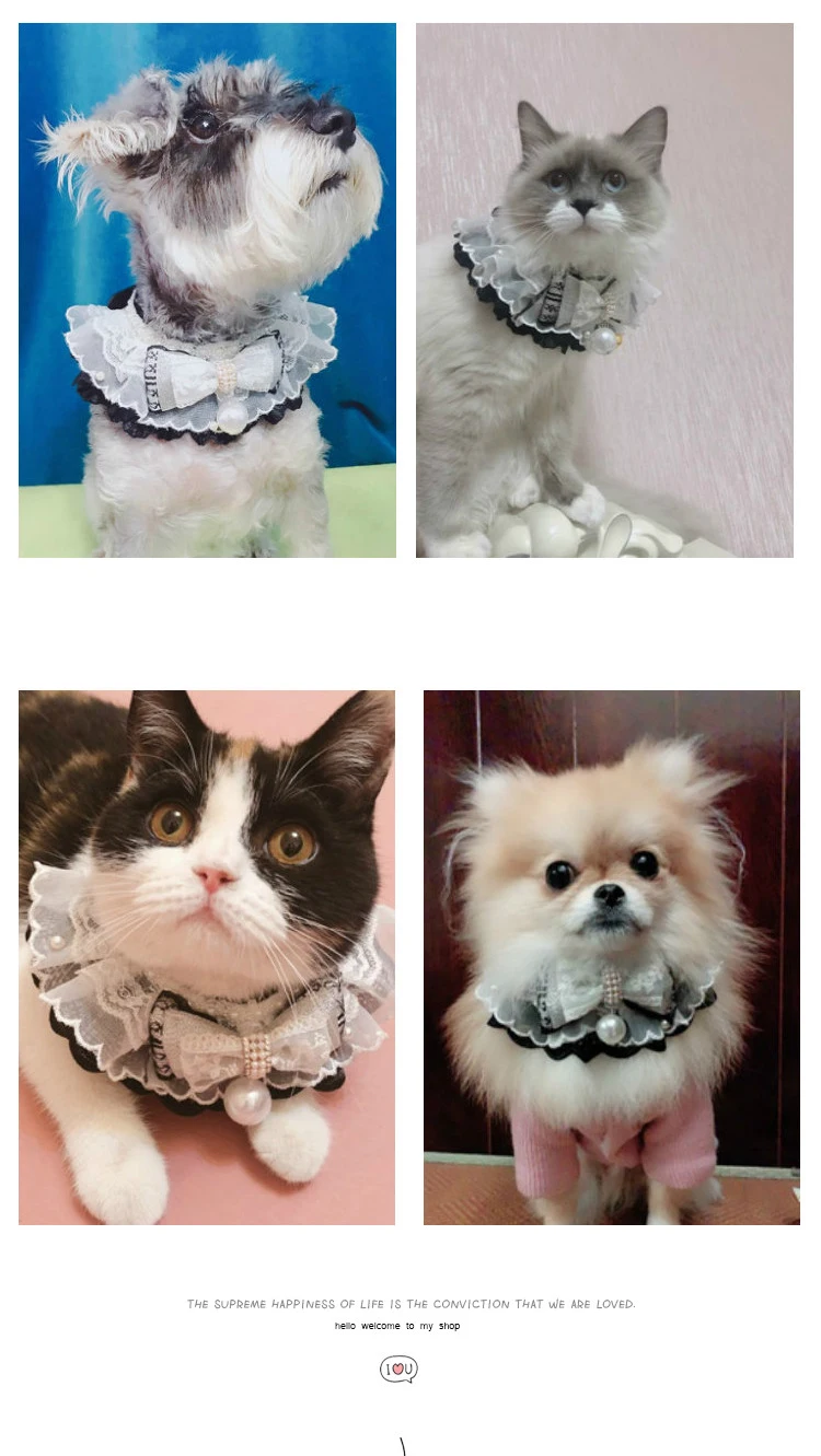 O1CN01hTskl82CU3cO9KM8D_!!292668476