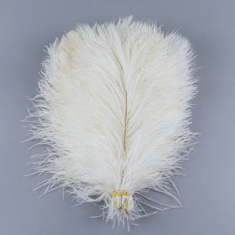 15-20cm 25-30cm 30-35cm White Ostrich Feather 10pcs Real Ostrich Feathers  Wedding Plume Decorative Home Vase Ornament Plumes - Feather - AliExpress