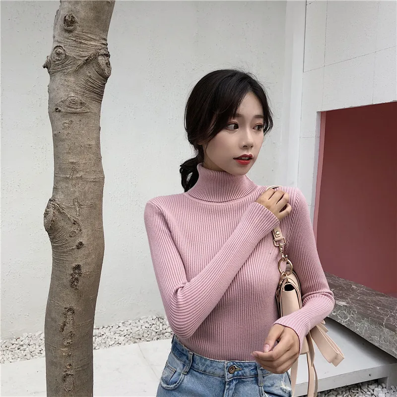 Autumn Winter basic Sweater Women Knitted Ribbed Pullover Sweater Long Sleeve Turtleneck Slim Jumper Soft Warm Pull Femme