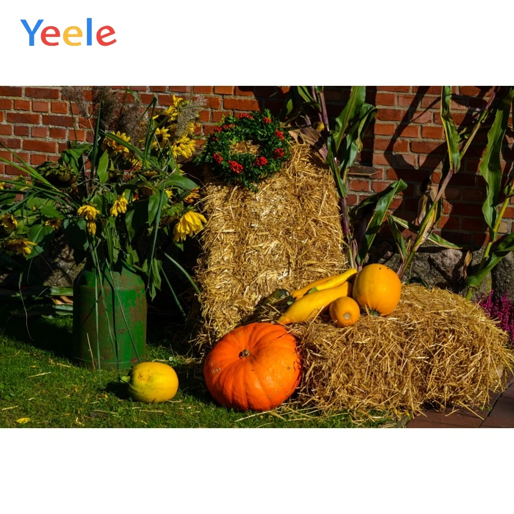 

Yeele Backdrops For Baby photocall Haystack Harvest Pumpkin Flower Autumn Photo Studio Props photography Background photophone