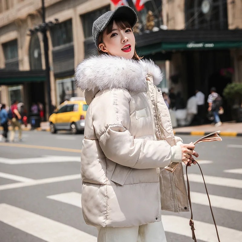 

Autumn And Winter WOMEN'S Dress 2019 Winter New Style Korean-style Loose-Fit down Jacket Women's Short Workwear Versatile Even