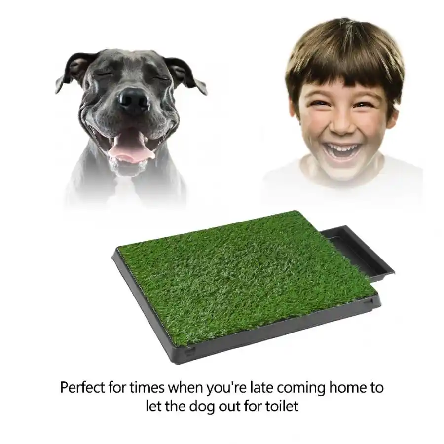 dog pee tray grass