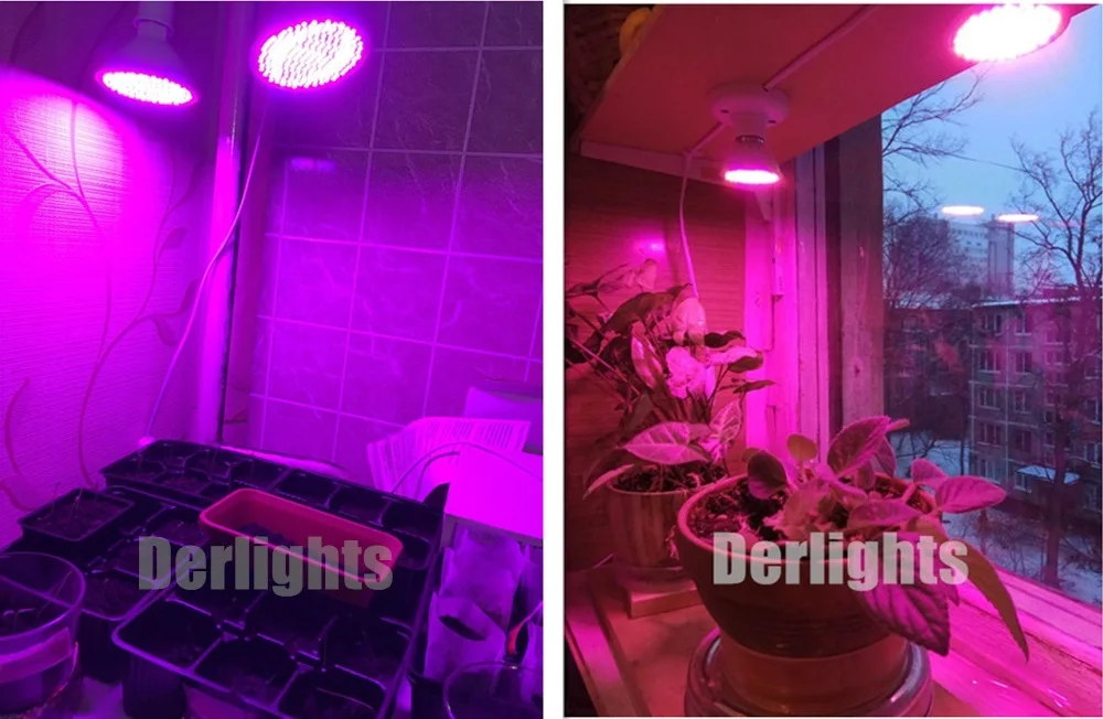 HTB1xX9YxWmWBuNjy1Xaq6xCbXXaN