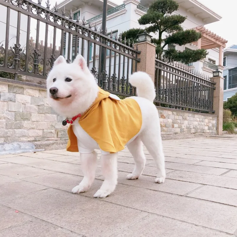 big dog cloak (17)