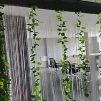 300X260 cm String Curtain Valance Shiny Tassel Line Curtain Solid Color Window Door Curtain Divider Drape Room Decor 2