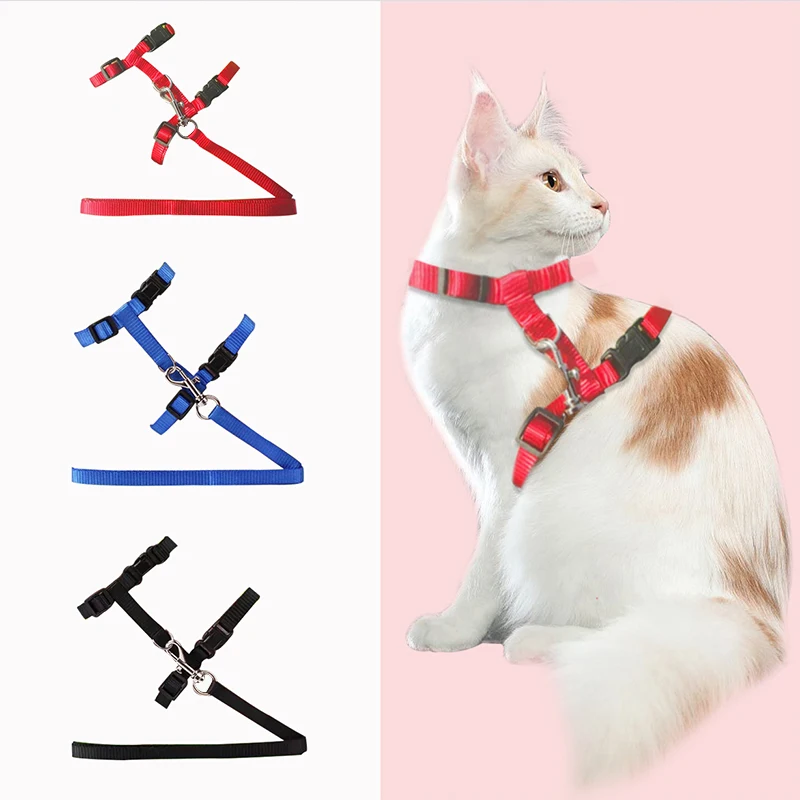 Harnais + laisse pour chaton en nylon motifs chat, 27/46cm