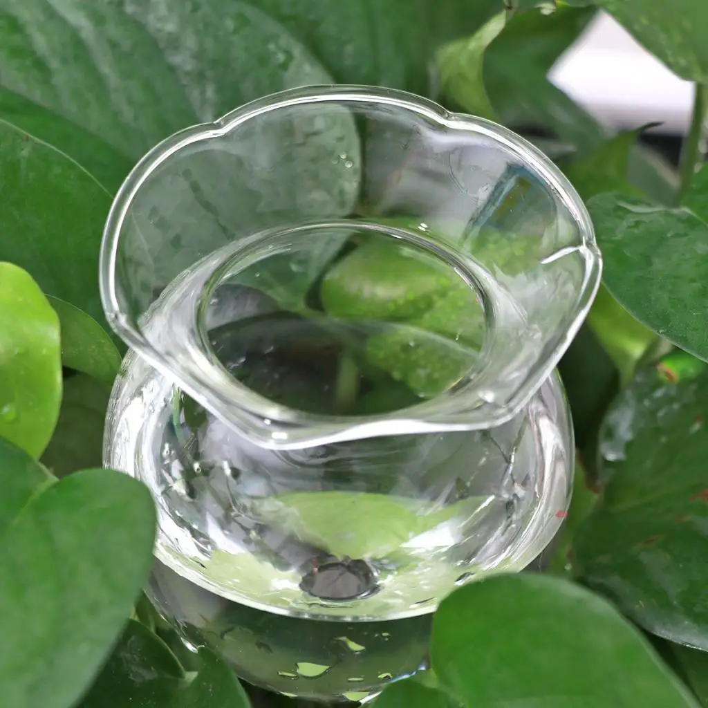 6Pcs Plant Watering Device Indoor Automatic Flower Glass Garden Sprinkler Transparent Mini Durable Clear Glass Aqua Bulbs