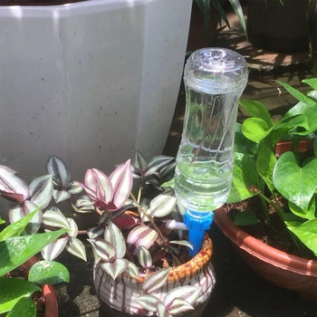 

12 pcs Automatic Watering Device Houseplant Plant Pot Bulb Globe Garden House Waterer Garden Watering System Drip Irrigation