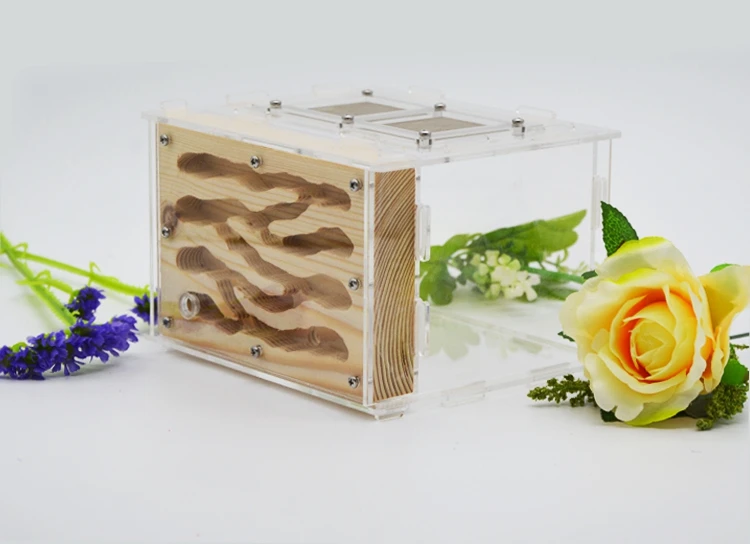 wooden ants nest ant farm, made by real wood and acrylic ants house