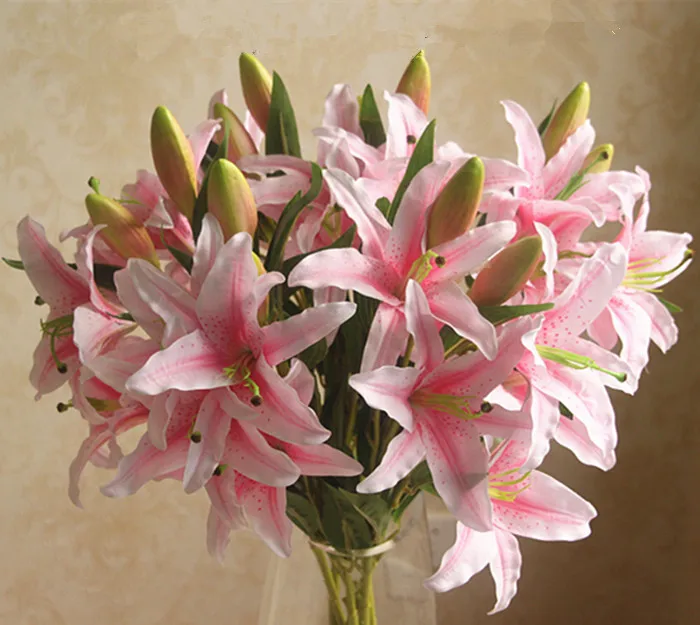 TB2S6fciXXXXXXNXpXXXXXXXXXX_!!