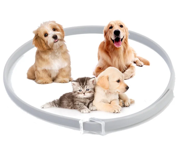 JOYLIVE New Pet Dog Cat Collar Anti Flea Mosquitoes Outdoor 8 Months Long-term Protection Adjustable Pet Collar Accessories JOYLIVE New Pet Dog Cat Collar Anti Flea Mosquitoes Outdoor 8 Months Long-term Protection Adjustable Pet Collar Accessories