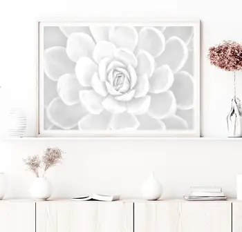 

Succulent Art canvas Poster Home Decor 12x18 24x36inch