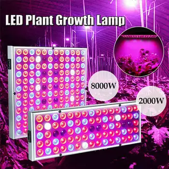 

2000/8000W LED Grow Light Hydroponic Full Spectrum LED Grow Lamp for Indoor Tent Greenhouse Plants Flower Growing Bloom Lamp