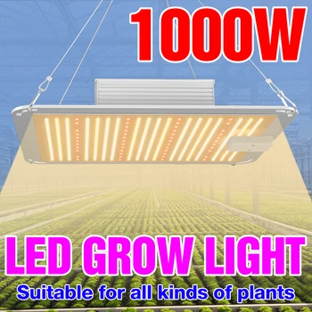 

Indoor Plant Grow Light LED Full Spectrum Phyto Lamp 1000W 2000W 4000W Vegetables Growing Lighting Light LED Seedling Fito Lampy