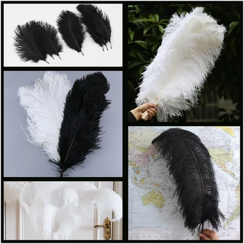 

Black&White Ostrich Feathers 15-75CM Real Ostrich feather Wedding party Decoration plume crafts Wholasale 10pcs