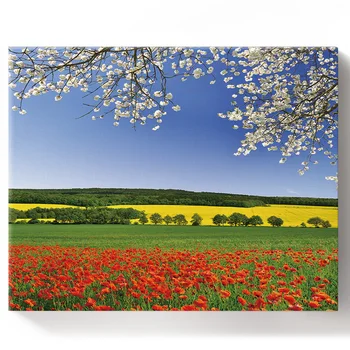 

Spring Field Scenery Beautiful Flower Poppy Paint by Numbers on Canvas 30X40CM DIY Paint by Numbers Living Room Decoration Gift