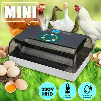 

Egg Incubator Digital Fully Automatic 12 Eggs Poultry Hatcher for Chickens Ducks XHC88