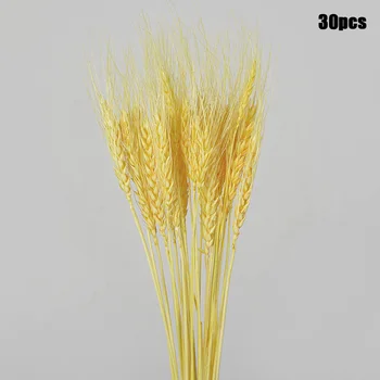 

30PCS Dried Small Pampas Grass Phragmites Communis Wedding Flower Bunch 70cm Tall for Home Decor JS22