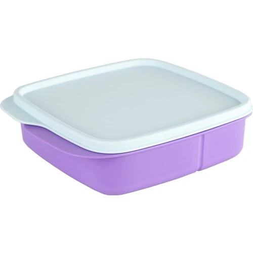 Tupperware Compartment Lunch Box 550 ml - AliExpress