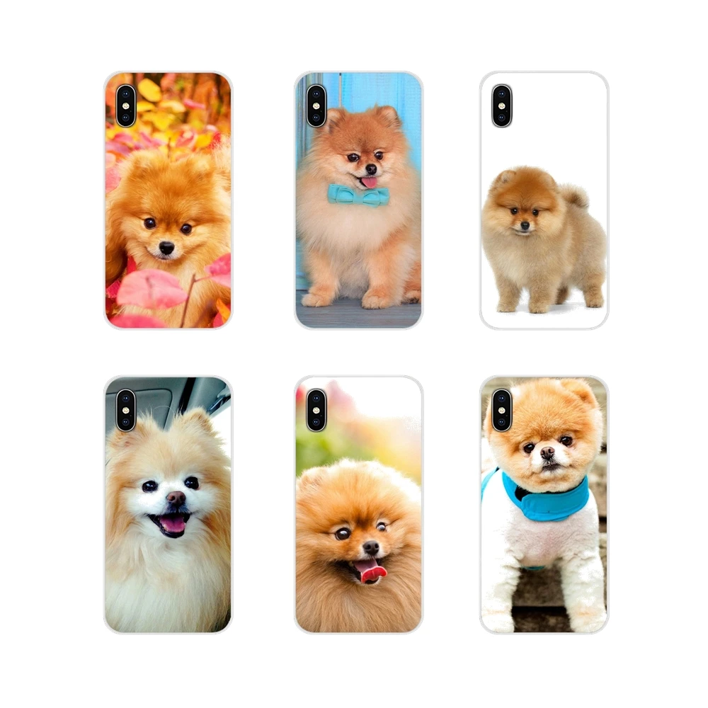 For Samsung Galaxy S2 S3 S4 S5 Mini S6 S7 Edge S8 S9 S10E Lite Plus Pomeranian dogs dog Accessories Phone Cases Covers | Мобильные