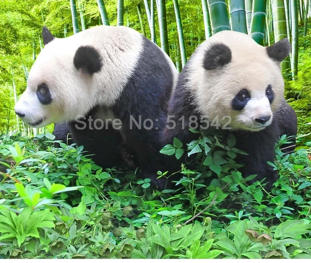 Impressões de arte de parede em tela, desenho fofo de panda comendo bambu  para decoração de parede, imagens em tela com moldura de madeira para  decoração de quarto de casa, 71 x