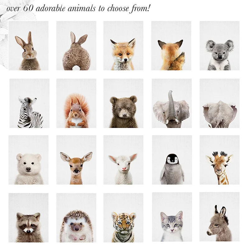 woodland animal canvas wall art