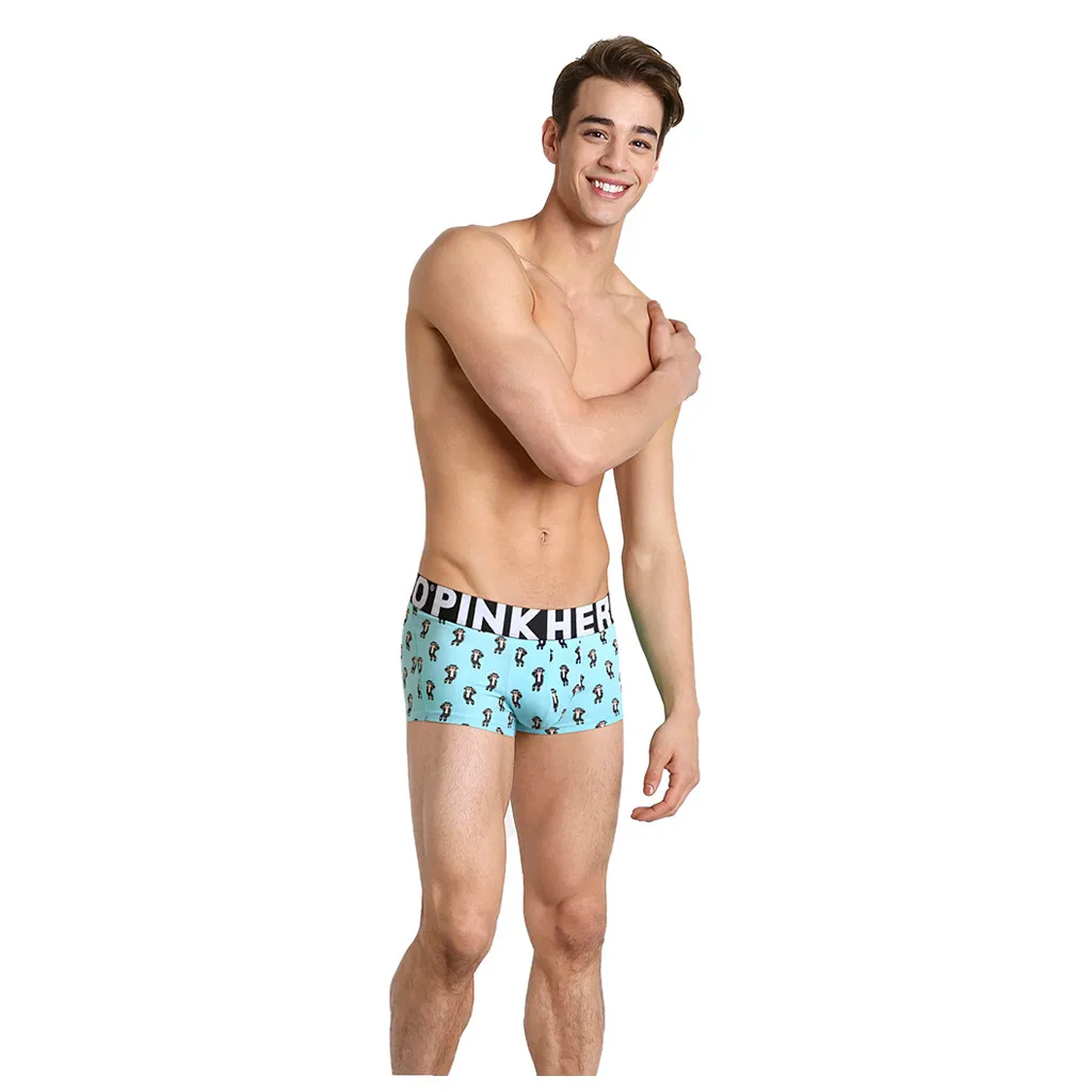 Новинка, фирменное Мужское нижнее белье, боксеры, хлопок, Homme Boxershorts, мужские боксеры, сексуальные мужские трусы с рисунком, размер S-3XL, DR23