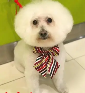 QQ截图20191028211539