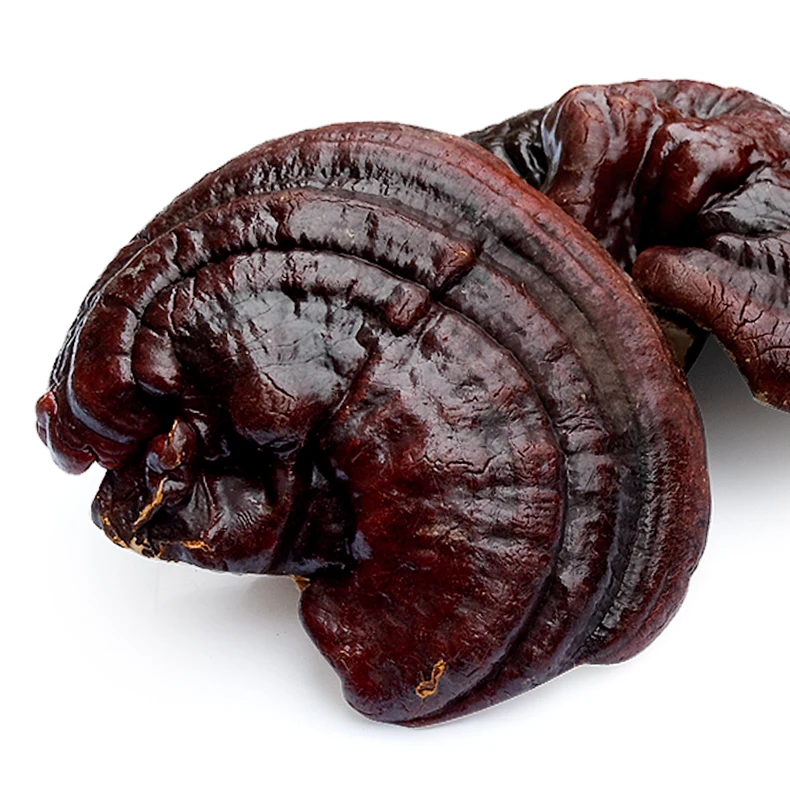 Китайский чай для здоровья сушеный дикий чай Lingzhi красный гриб Reishi Ganoderma Lucidum ломтики трав Ling Zhi чай 500 г|Чаедробильные машины| | АлиЭкспресс