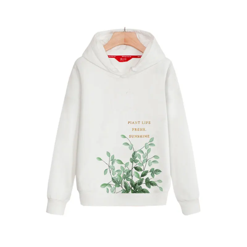 TA2594植物叶子_03