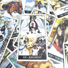 New English version Wise Dog Tarot deck divination fate playing cards board game 78 cards/set