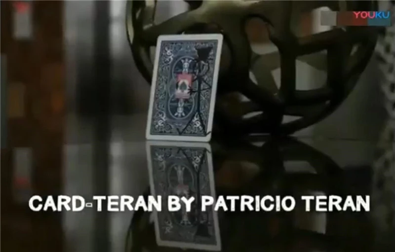 Карта-Teran Magic Tricks карта предсказание волшебник магии крупным планом иллюзии реквизит для фокусов выбранная карта