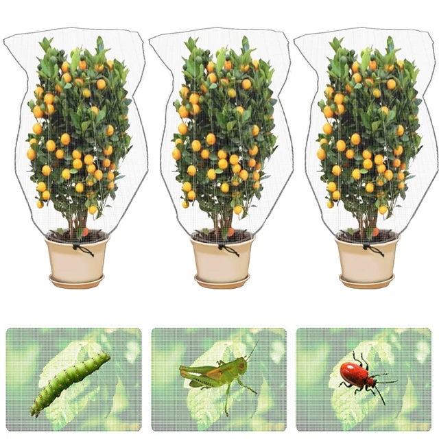 Kerti Hibák Gáthálónövekedésű Növény Burkolat Húzózsinórral Ellátott Madárgátháló Hálóháló Fa Burkolatok Növényi Gyümölcsök Virágzöld Zöldségfélék