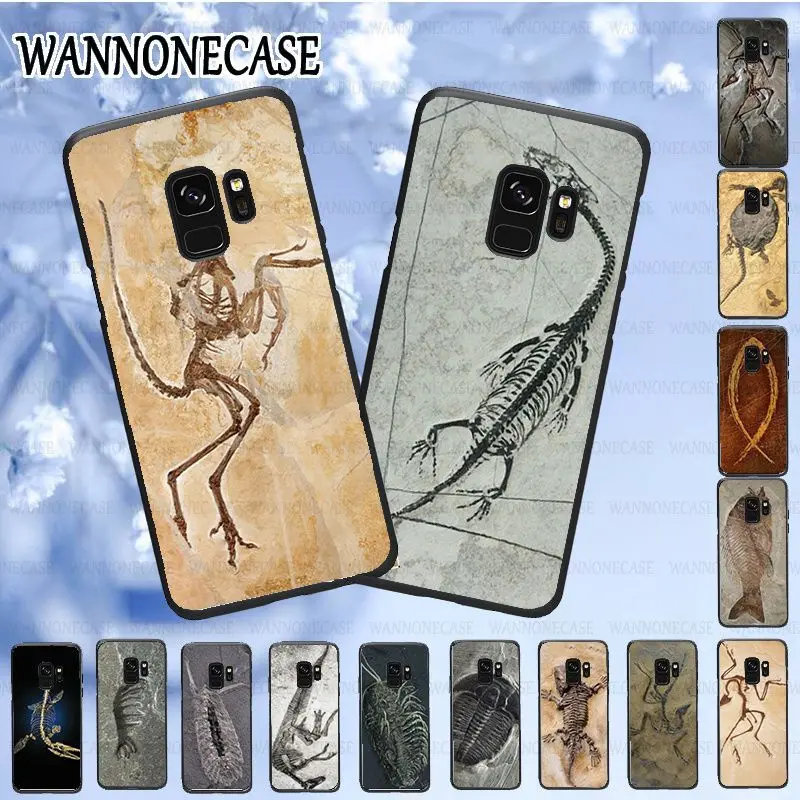 Мягкий чехол для телефона samsung galaxy s9plus s10PLUS note8 note9 note10pro S8Cover с изображением