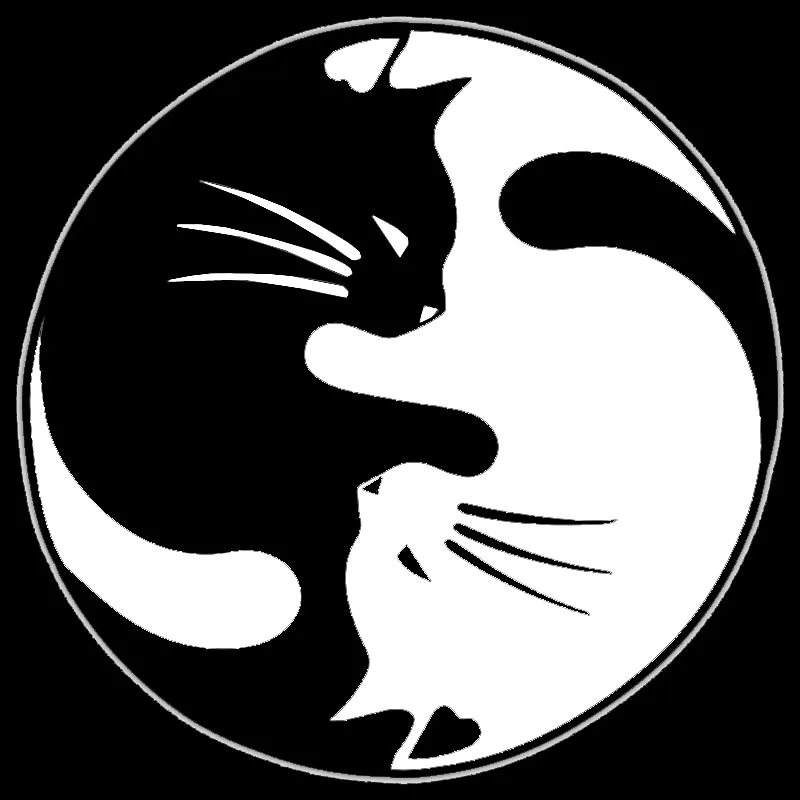 EARLFAMILY 2x Pet Cat Kitten Animal Lovers Love Kiss Yin and Yang Tai Chi автомобильные наклейки Виниловая