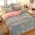 JUSTCHIC 1шт Мультфильм Коралловый Флис Пододеяльник King Size Зимний Двусторонний утолщенный Бархатный пододеяльник Home Decor