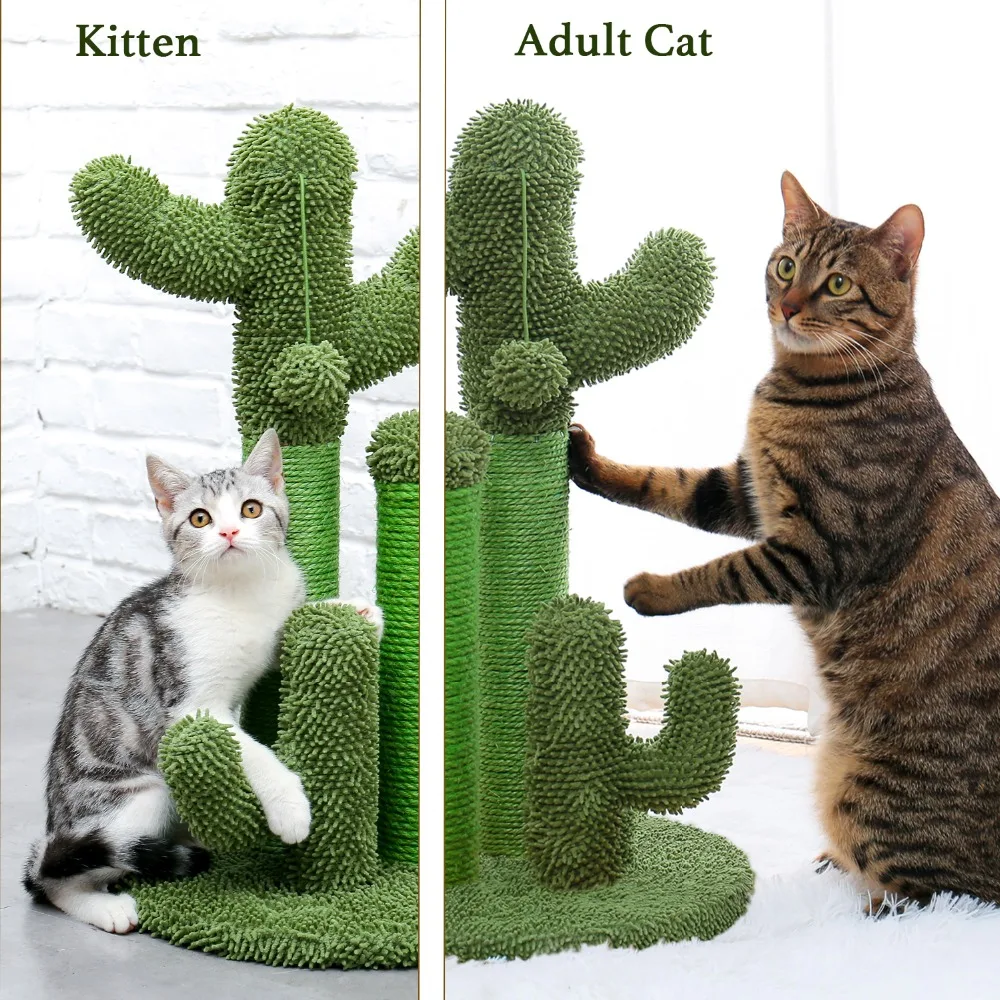 de cactus com corda sisal para gatos,