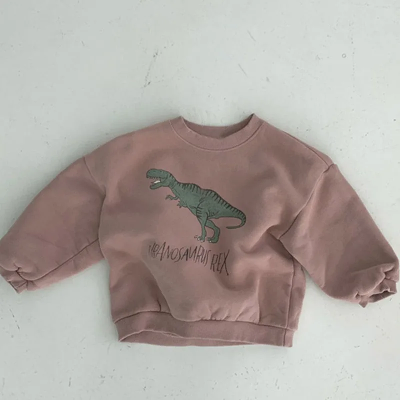 Kids Dinosaur Hoodie Fleece Pullover Sweatshirt