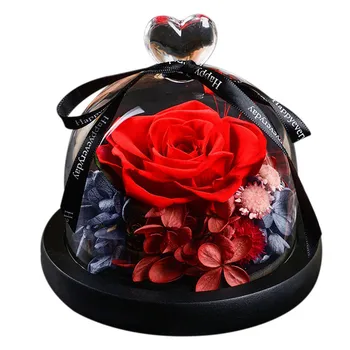 

Preserved Fresh Flower Red Rose Last Forever in Glass Dome with Light Perfect Gift for Mother Girlfriend Wife Partner
