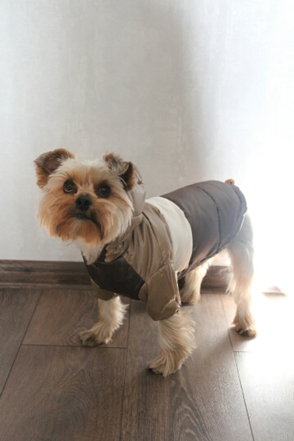 UTB8J85qCMQydeJk43PUq6AyQpXah