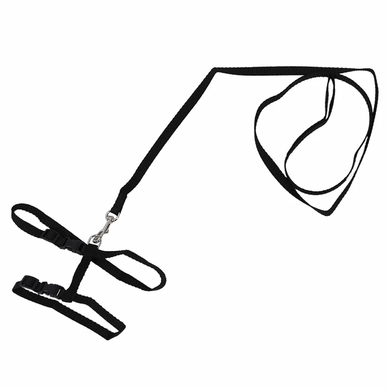 

Adjustable Pet Cat Kitten Nylon Lead Leash Harness Set