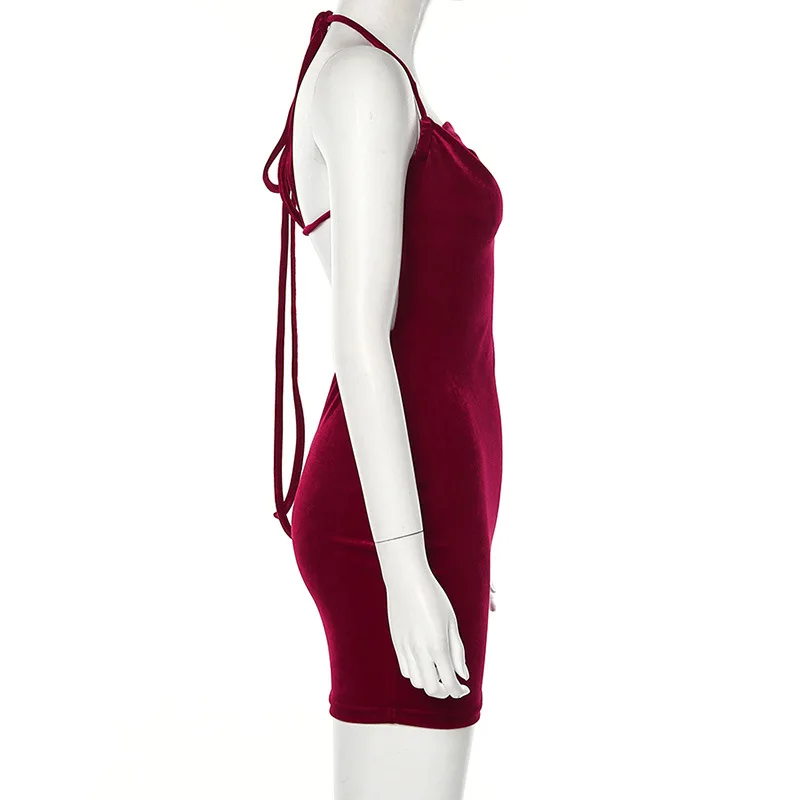 11664967378_1453572700