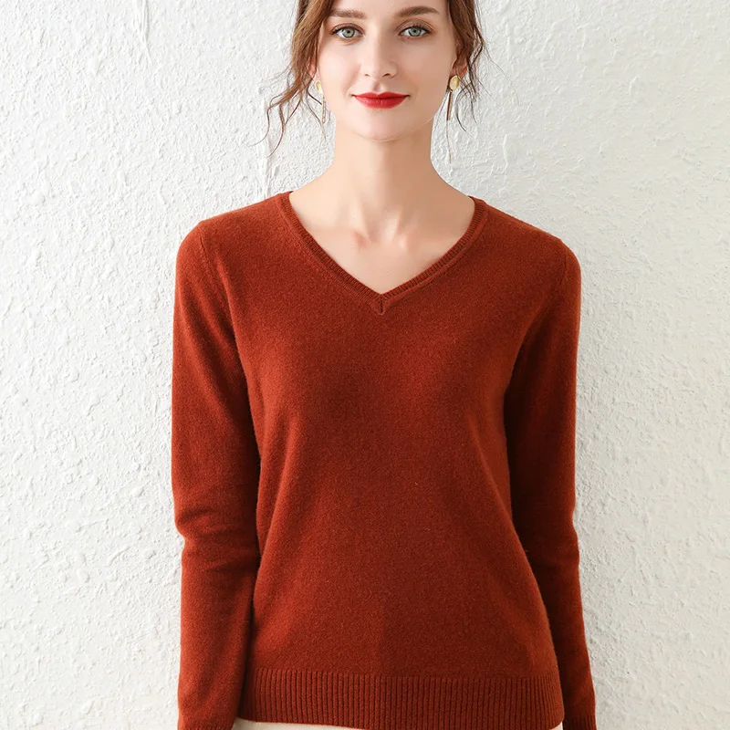 Women's Cashmere Solid  Autumn Winter V-Neck