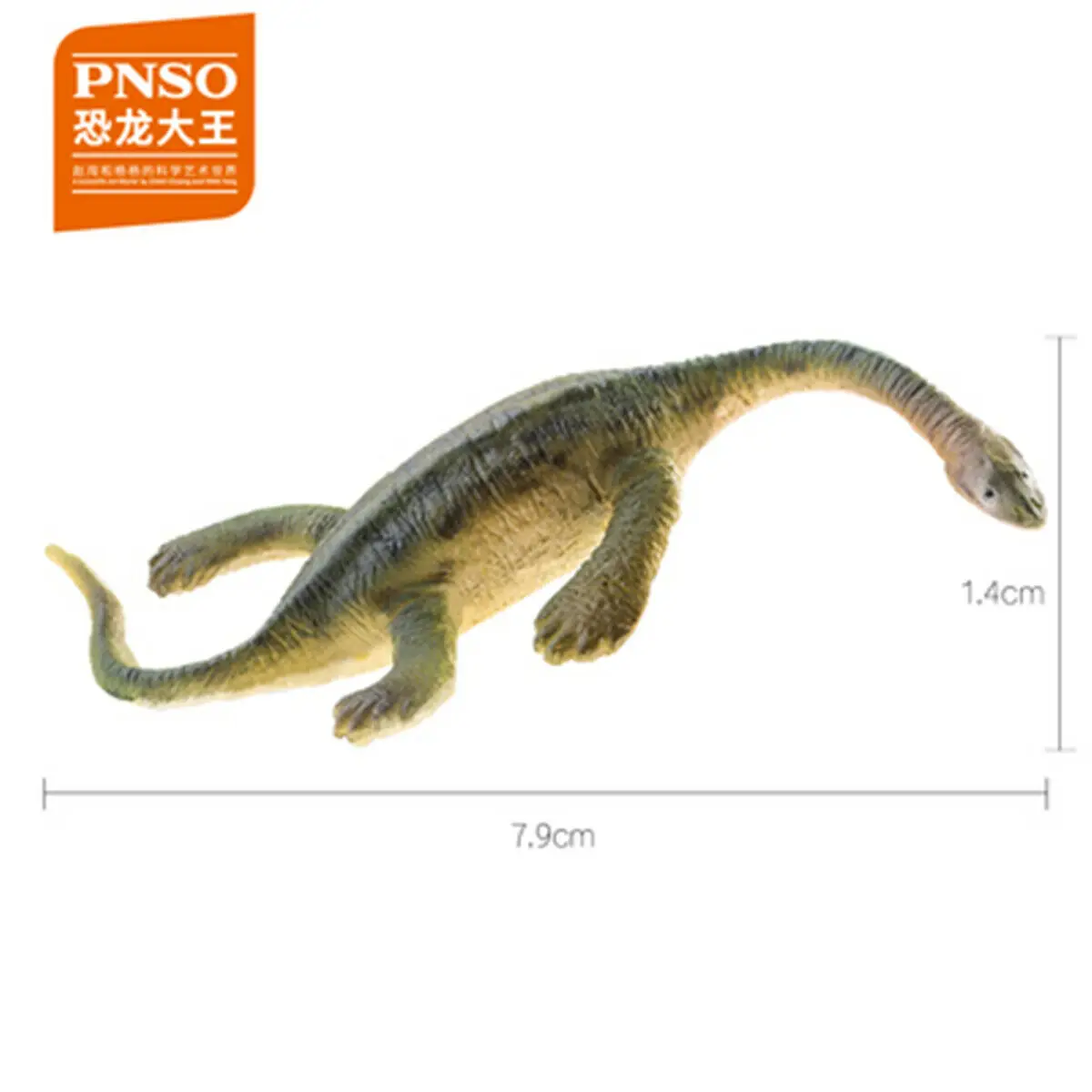 Игрушки PNSO Alioramus keichusaurus Spinops дакозавр эктенозавр динозавр фигурка барионикс qianzhousharus Indosuchus olorotan - Цвет: Keichousaurus