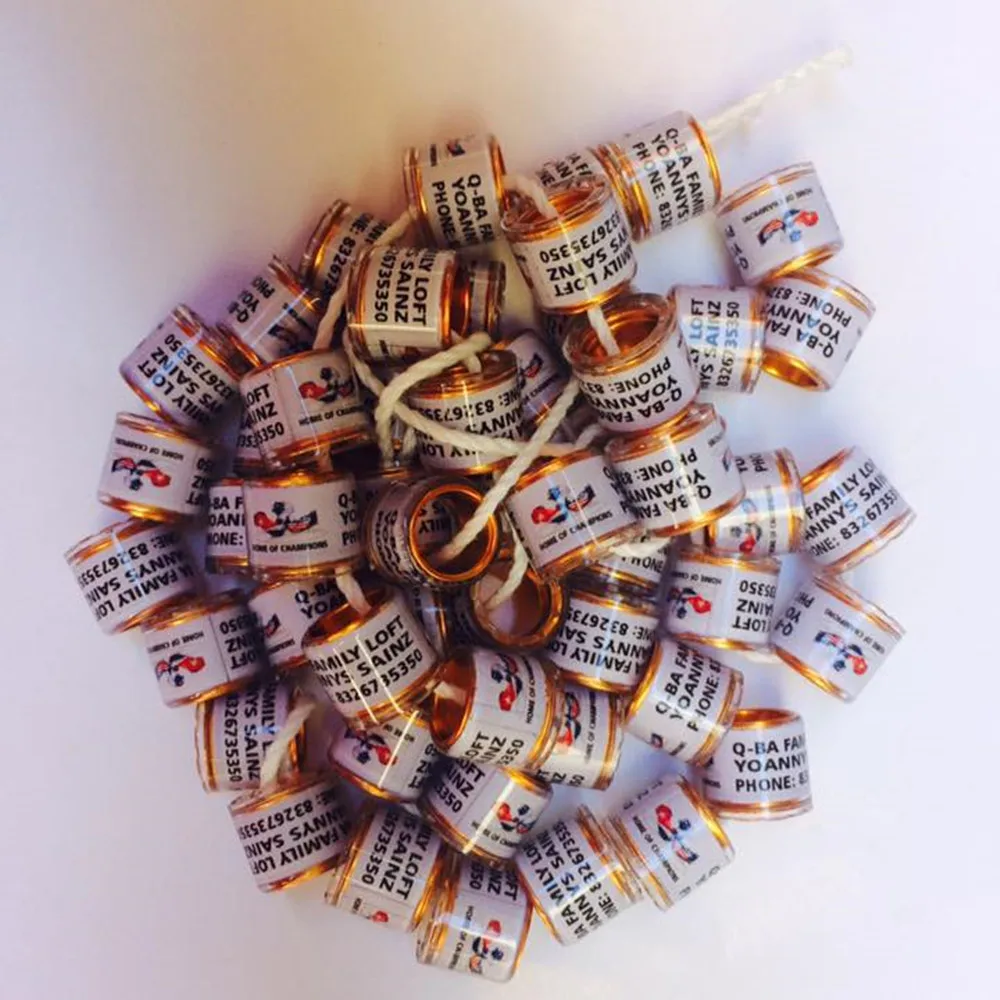 Gsf персонализированное кольцо для ступней голубя голубиных гонок голубь с