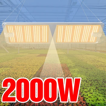 

LED Full Spectrum Phyto Lamp 1000W 2000W 4000W Plant Grow Light LED Seedling Fito Light LED Flower Hydroponics Grow Lampada 220V