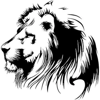 

19.5X20CM Meditation Lion Vinyl Decals Car Sticker Car Motorcycle Individualization Car Sticker Car-styling Car Accessories