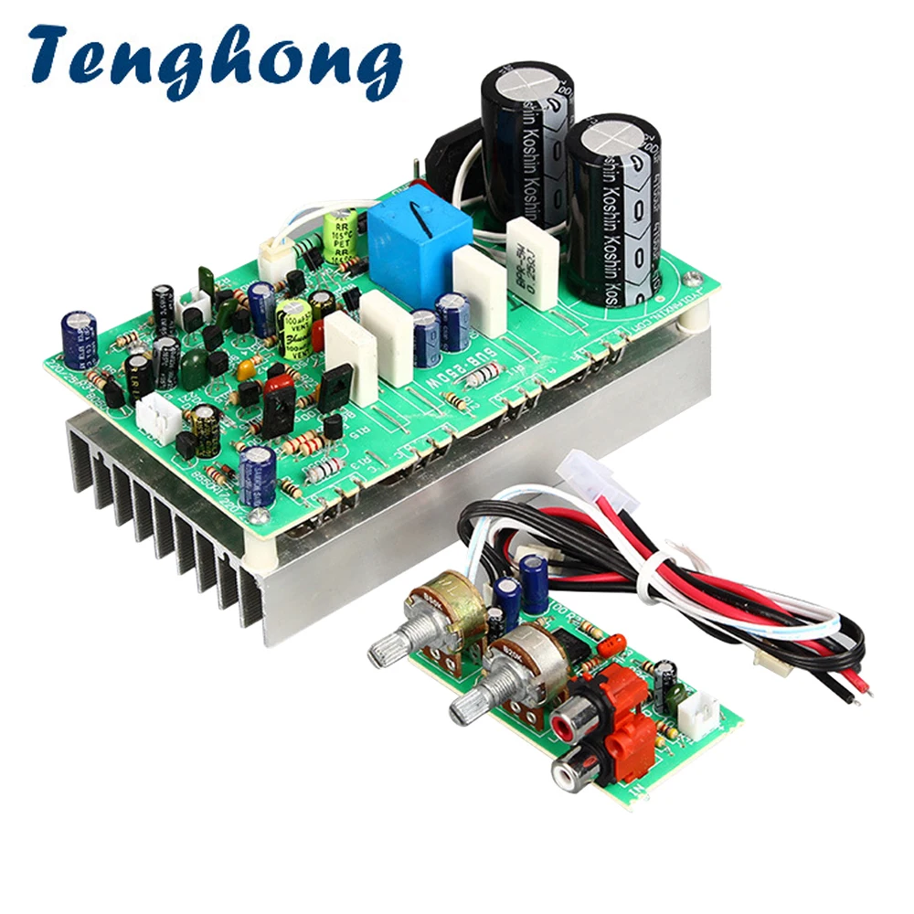 Tenghong Subwoofer Amplifier Papan 250W 
