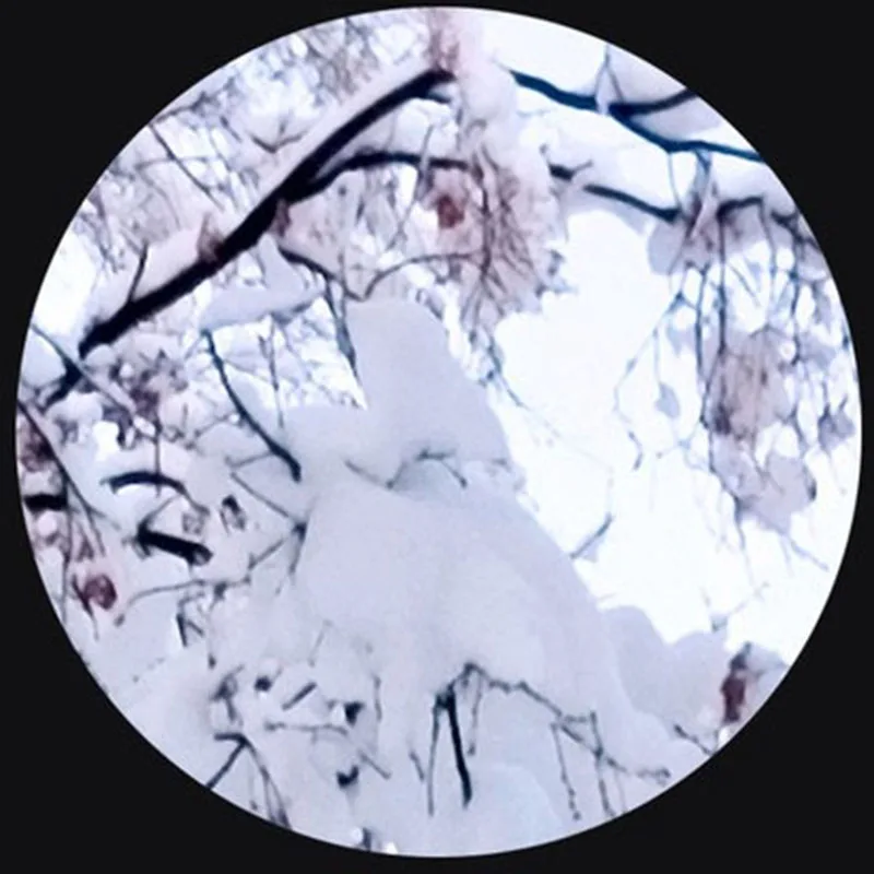 Custom-3D-Mural-Wallpaper-Beautiful-Winter-Snow-Landscape-Wall-Painting-Living-Room-TV-Backdrop-Wall-Modern (3)